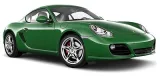 Cayman 2009