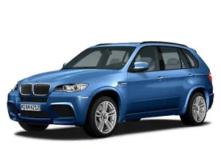 X5 M 2009