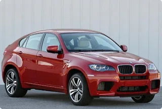 X6 M 2009