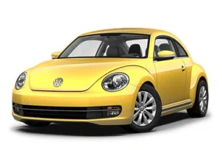 Beetle
