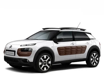 C4 Cactus 2014