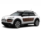 C4 Cactus 2014