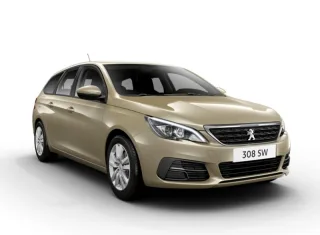 308 SW