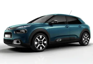 C4 Cactus