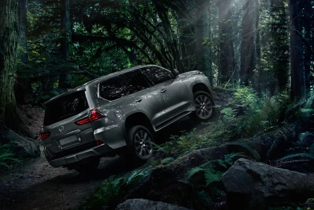 Lexus LX 450d 4.5 AT Luxury — 10