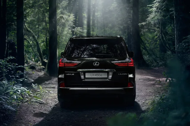 Lexus LX 450d 4.5 AT Luxury — 12