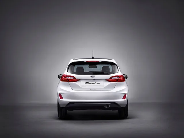 Ford Fiesta хетчбек — 13