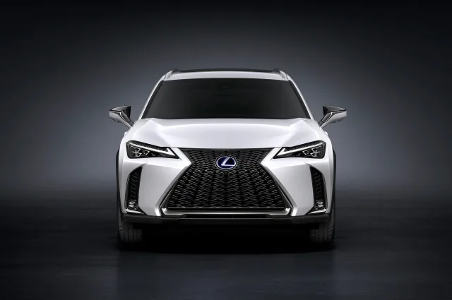 Lexus UX 200 AT Launch — 6