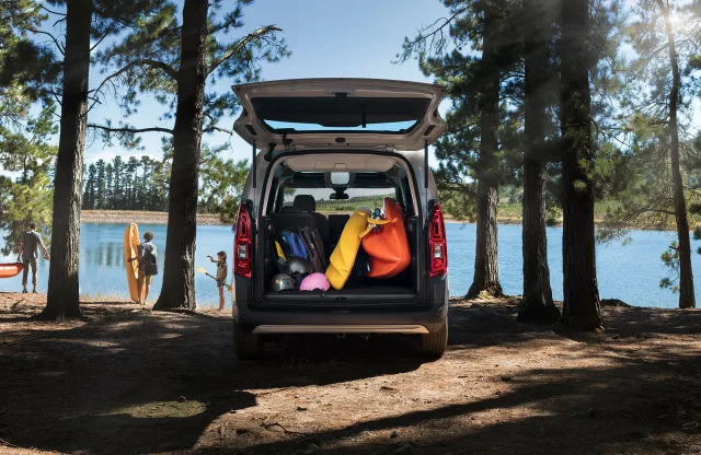 Citroen Berlingo мікроавтобус — 24