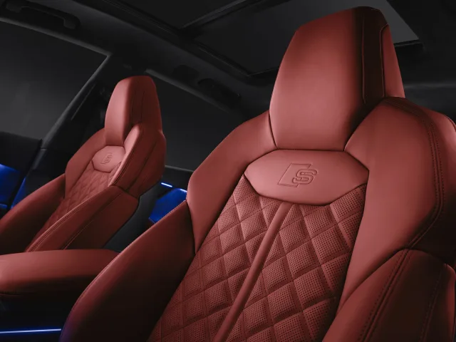 Audi SQ8 4.0D AT quattro — 15