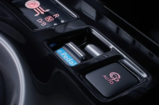 Nissan Leaf N-Connecta — 24