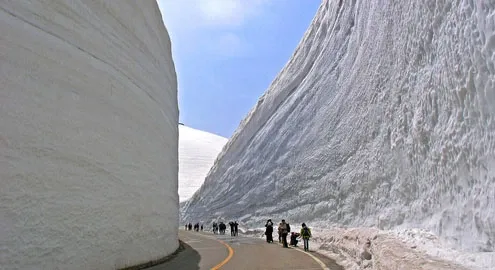 Snow apocalypse hit Japan!