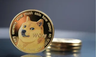 Скільки коштує Dogecoin або як мем-валюта перетворилася на серйозний актив зі світовим ім'ям?