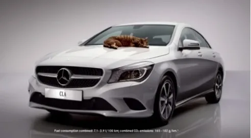 Lazy cat replaced chicken in Mercedes-Benz advertisement