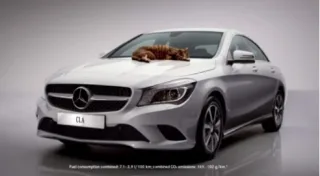 Лінивий кіт змінив курку в рекламі Mercedes-Benz