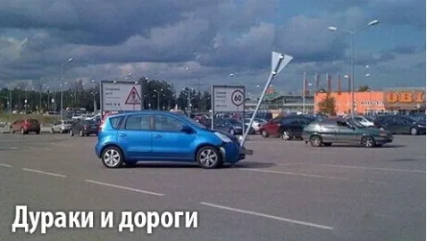 Fools and roads: the most curious and absurd accidents