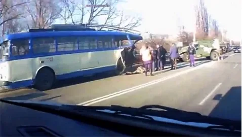 В Крыму Тигр "напал" на троллейбус. Есть пострадавшие