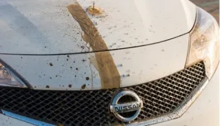 Nissan показав автомобіль, який не брудниться