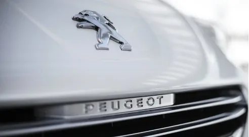All Peugeot sedans - at the rate of 10.3!