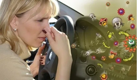 The smell of a new car: how dangerous is it for health?