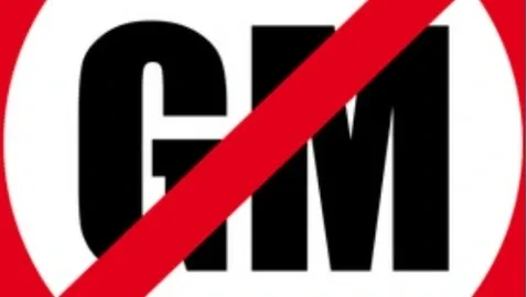 General Motors остановила завод в России