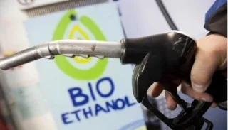Ukraine will seriously engage in the production of bioethanol