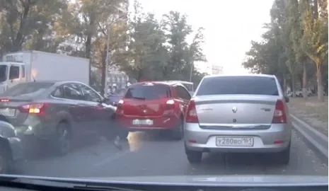 Птичку жалко: голубь стал причиной аварии