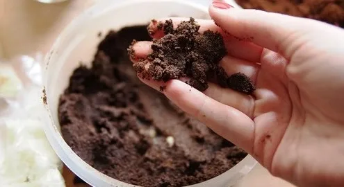 In Britain, they learned how to obtain diesel from coffee grounds
