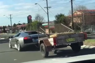 Laughter and sin: Lamborghini with a trailer for transporting sheep