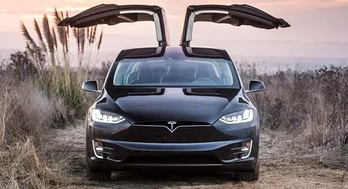Tesla Model X electric crossover received Christmas options