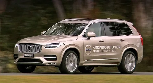Volvo will take care of kangaroos