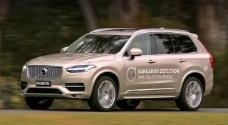 Volvo will take care of kangaroos