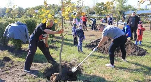 "Bought a car? Plant a tree!": Toyota-Ukraine initiated greening of Kyiv