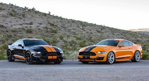 Ford Mustang Shelby has acquired a special version for rental