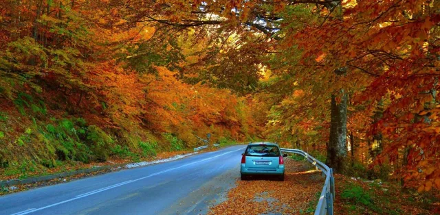 TOP-5 places for road trips and recreation near Kyiv