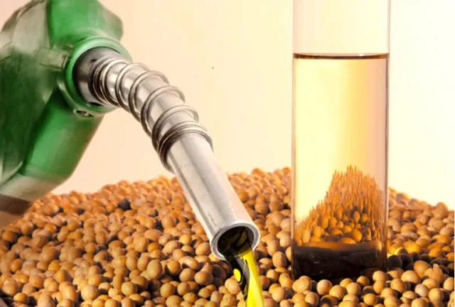In Ternopil region, bioethanol and biogas will be produced