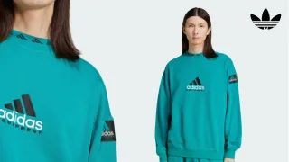 Sweatshirt: comfort, fashion, and freedom of movement in one bottle