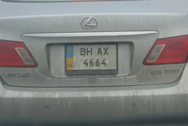 10_2.jpg