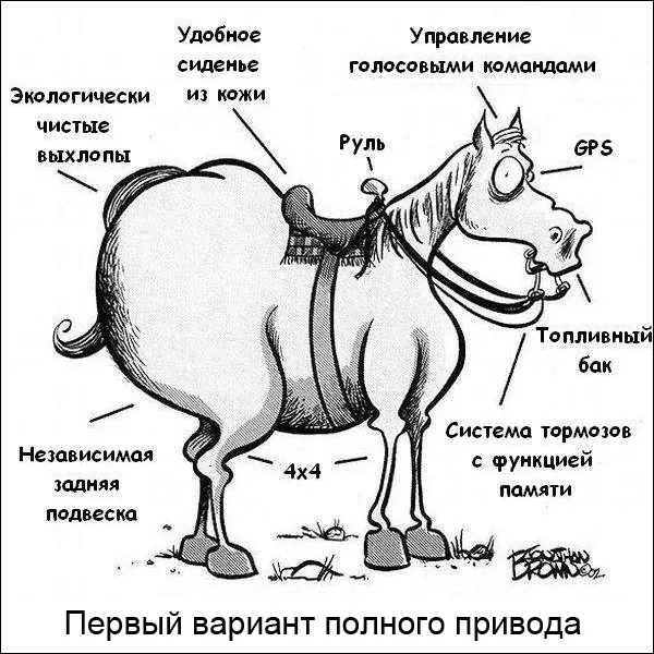 11_8.jpg