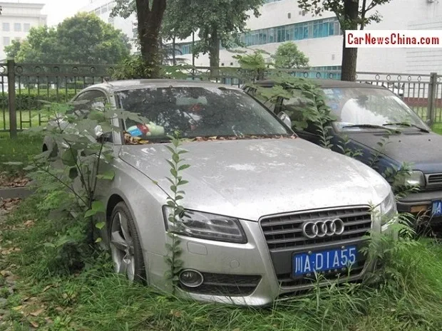 audi-a5-nature-china-1.jpg