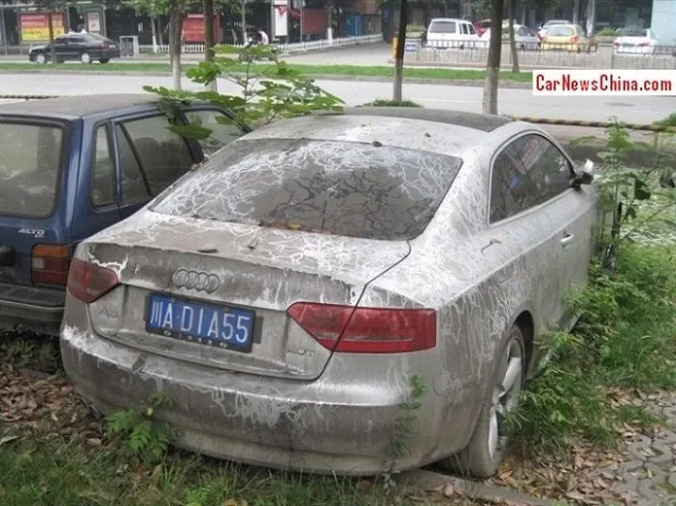 audi-a5-nature-china-3-660x494.jpg
