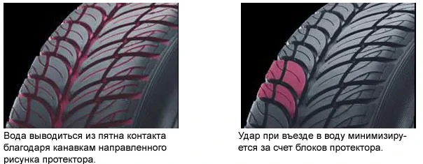 shina-1.jpg