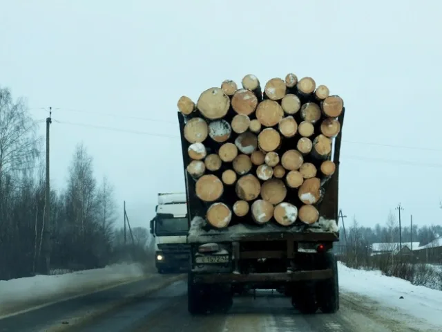 DSCF0367.JPG