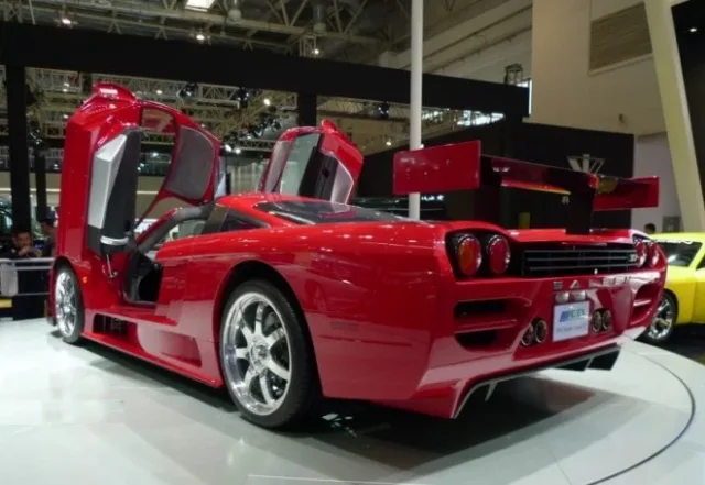 saleen-china-4-660x455.jpg
