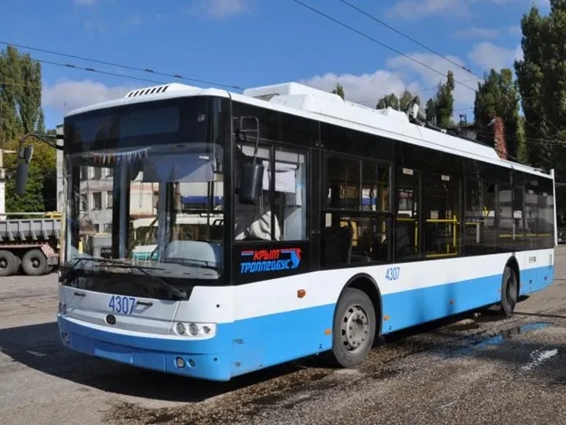 900379.jpg