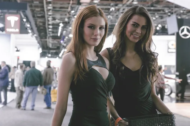 girls-models-booth-professionals-detroit-autoshow-2015-gallery-pics-highlights-53.jpg