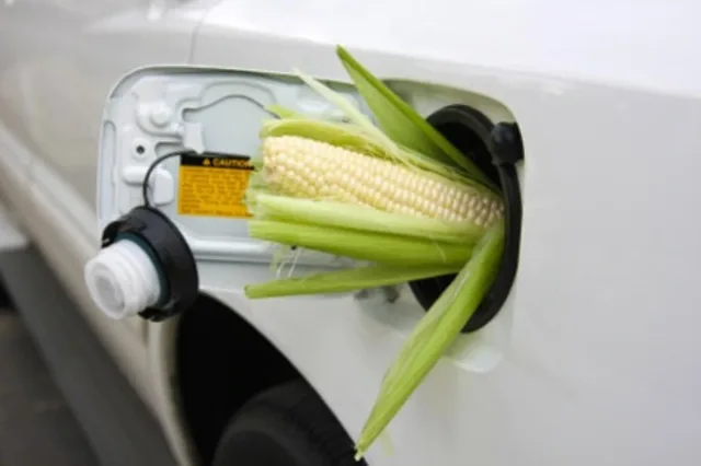 corn-fuel-ethanol.jpg