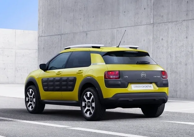 ais-cactus-2.jpg