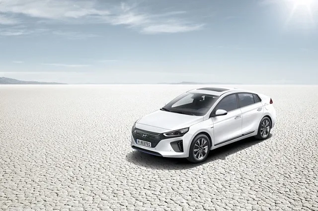 autobereg-Eco-2.jpg