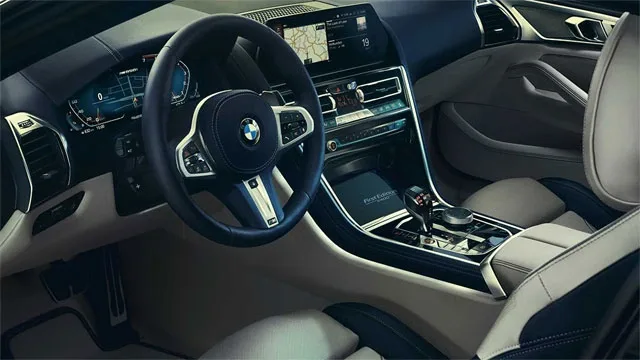 bmw8-2.jpg